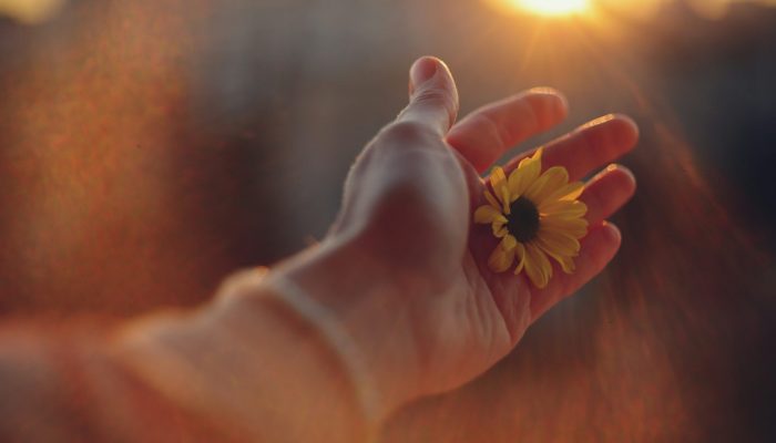 Photo de Liana S sur Unsplash