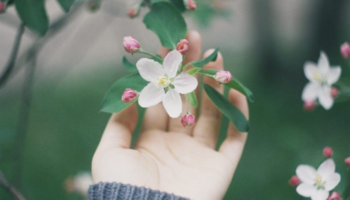 nazym-jumadilova-ZJKD7X33mfE-unsplash